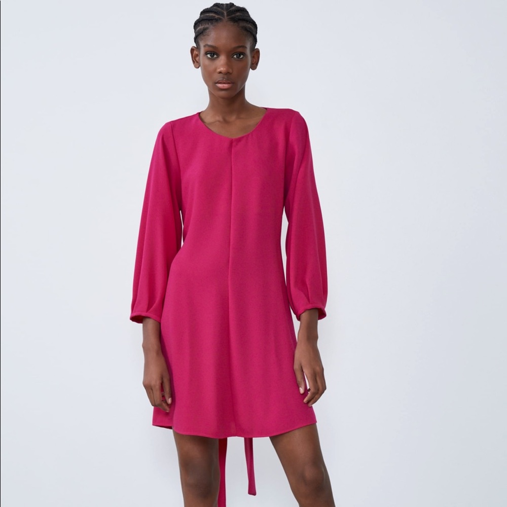 BNWT Zara Dress